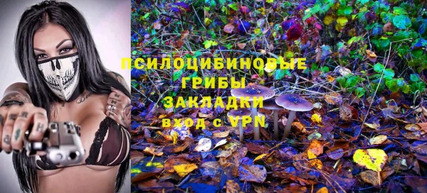 скорость Алексин