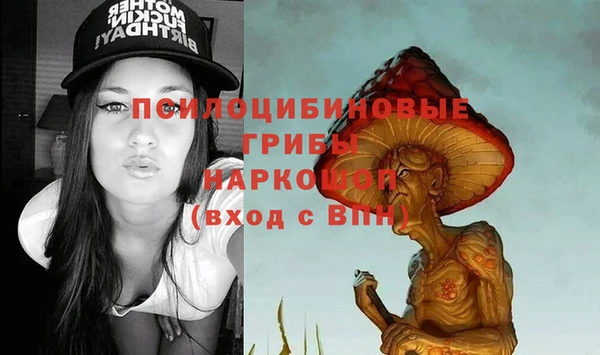 каннабис Новозыбков